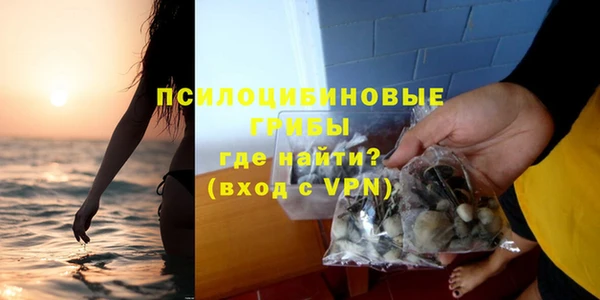 крисы Пестово