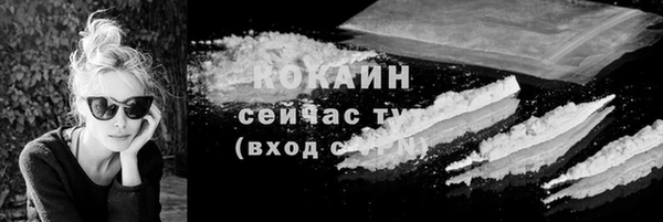 дживик Пересвет