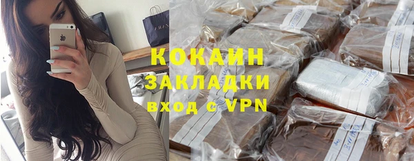дживик Пересвет