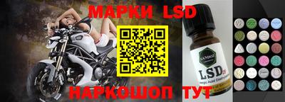 прущие грибы Апшеронск