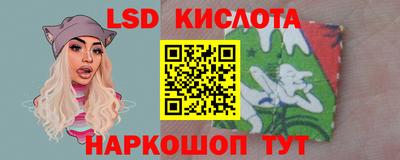 прущие грибы Апшеронск