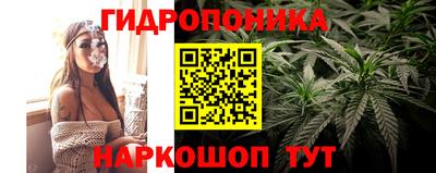 прущие грибы Апшеронск