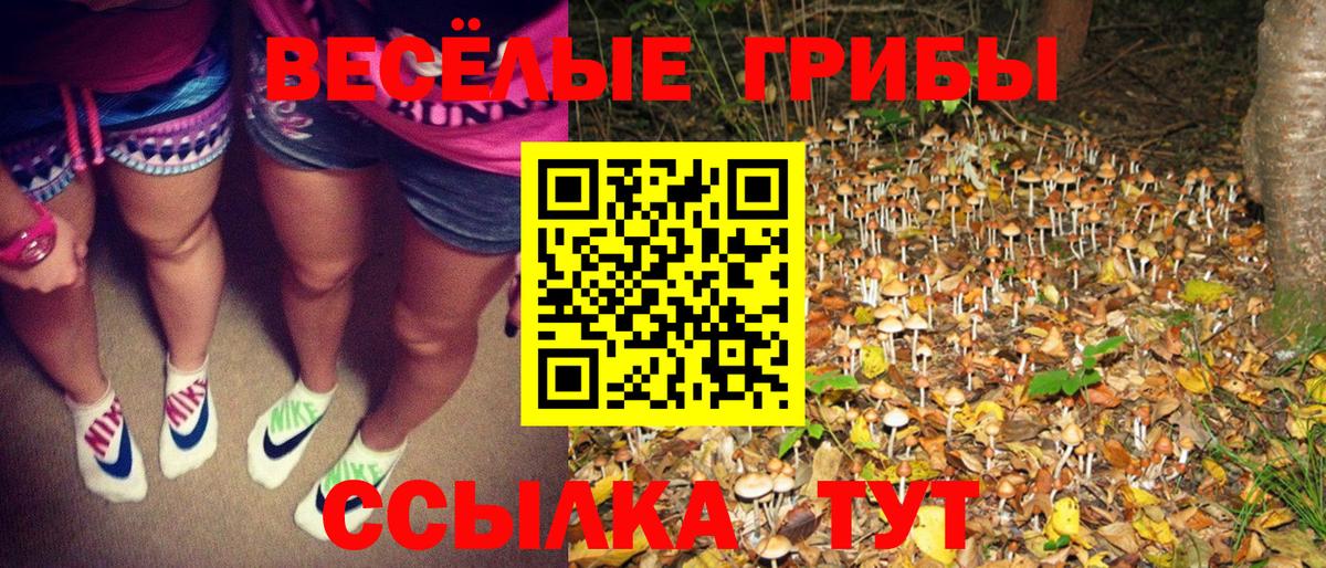 Бошки Шишки Боровичи